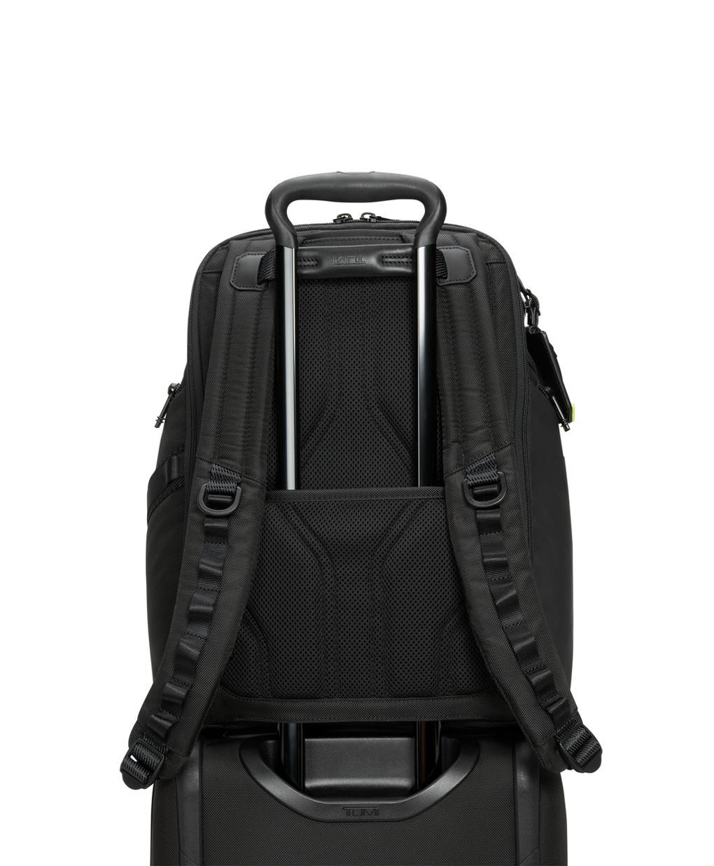 Search Backpack 6 Search Backpack